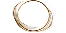 Load image into Gallery viewer, Gold Circle Wall Art, Abstract Gold Wall Decor, Minimal Modern Wall Art, Luxury Neutral Bedroom Decor, Elegant Abstract Art 251mv