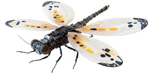 Load image into Gallery viewer, Mechanical Dragonfly Wall Art Futuristic Insect Decor 368mv