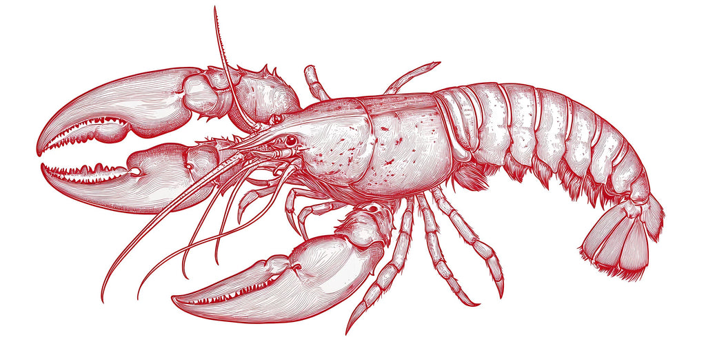 Vintage Lobster Wall Decal Red Lobster Illustration Wall Sticker Nautical Seafood Kitchen Restaurant Cafe Coastal Wall Art