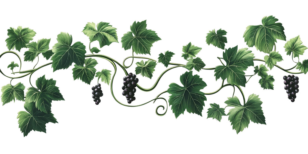 Grape Vine Wall Decal Vineyard Wall Sticker Wine Bar Restaurant Kitchen Decor Botanical Grape Leaves Wall Art