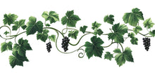 Load image into Gallery viewer, Grape Vine Wall Decal Vineyard Wall Sticker Wine Bar Restaurant Kitchen Decor Botanical Grape Leaves Wall Art