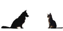 Load image into Gallery viewer, Dog And Cat Wall Decal Sticker | Pet Lover Nursery Wall Art | Animal Silhouette Wall Decor | Kids Room Animal Wall Sticker | Modern Pet