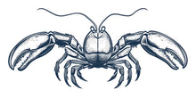 Load image into Gallery viewer, Crab Wall Art Seafood Restaurant Decor 408mv