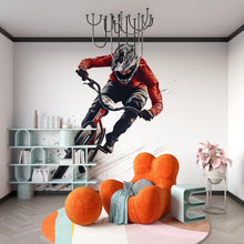 Load image into Gallery viewer, BMX Rider Wall Art, Extreme Sports Decor, Action Bike Art 445mv
