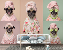 Load image into Gallery viewer, Grooming Salon Wallpaper | Dog Pug SPA Wall Mural
