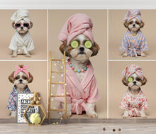 Load image into Gallery viewer, Grooming Salon Wallpaper | Dog Shih Tzu SPA Wall Mural