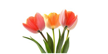 Load image into Gallery viewer, Tulip Flower Wall Decal, Floral Wall Sticker, Large Flower Wall Art, Spring Flower Wall Decor, Flower Decal, Botanical Wall Decor, 003gm