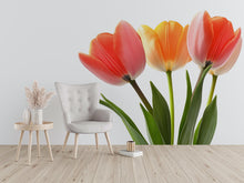 Load image into Gallery viewer, Tulip Flower Wall Decal, Floral Wall Sticker, Large Flower Wall Art, Spring Flower Wall Decor, Flower Decal, Botanical Wall Decor, 003gm