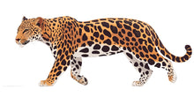 Load image into Gallery viewer, Leopard Wall Decal Large Removable Jungle Cat Sticker Safari Animal Wall Art for Bedroom Nursery Modern Wildlife Decor, 051gm