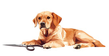 Load image into Gallery viewer, Golden Retriever Wall Decal Large Dog Wall Sticker Kids Room Pet Lover Removable Animal Mural, 066gm