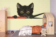Load image into Gallery viewer, Black Kitten Wall Decal Cute Cat Wall Sticker Kids Room Animal Nursery Decor Removable Pet Mural, 071gm