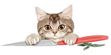Load image into Gallery viewer, Cute Kitten Wall Decal Cat Kitchen Wall Sticker Chef Cat Decor Removable Animal Mural for Home, 074gm