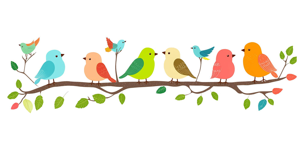 Colorful Birds on Branch Wall Decal Nursery Wall Sticker Kids Room Animal Wall Art Removable Mural Decor, 079gm