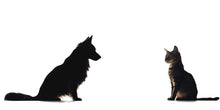 Load image into Gallery viewer, Dog Cat Wall Decal, Pet Wall Sticker, Dog and Cat Silhouette Decal, Animal Wall Art, Pet Lover Wall Decor, Modern Pet Wall Decal, 504mv