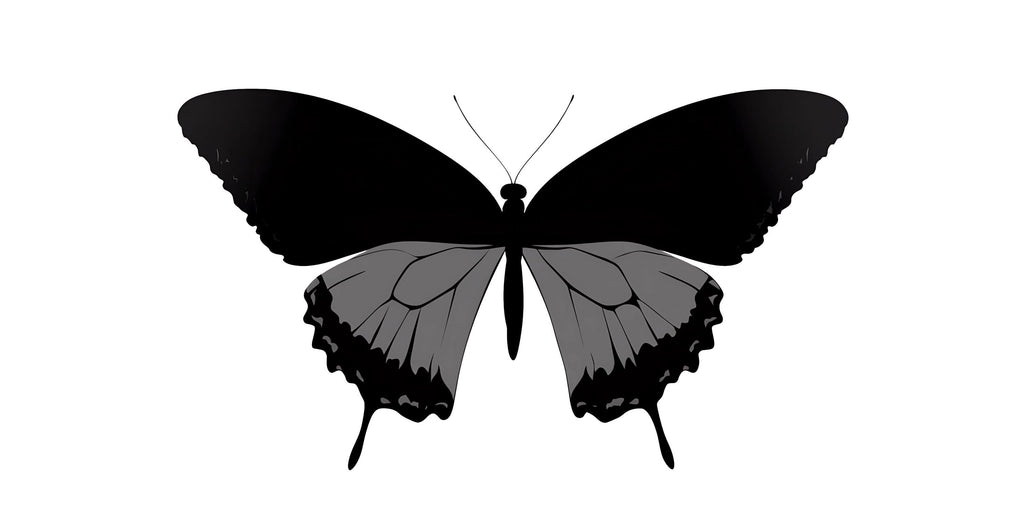 Butterfly Wall Decal Large, Butterfly Wall Sticker, Butterfly Wall Art, Nature Wall Decor, Bedroom Wall Decal, Kids Room Wall Sticker, 006gm