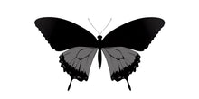 Load image into Gallery viewer, Butterfly Wall Decal Large, Butterfly Wall Sticker, Butterfly Wall Art, Nature Wall Decor, Bedroom Wall Decal, Kids Room Wall Sticker, 006gm