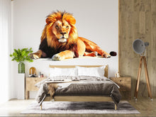Load image into Gallery viewer, Lion Wall Decal, Lion Wall Art, Animal Wall Decor, Lion Wall Sticker, Wildlife Wall Art, Safari Nursery Decor, Animal Wall Decal, 034gm