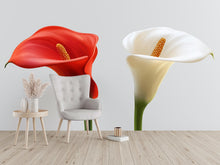 Load image into Gallery viewer, Calla Lily Wall Decal, Red White Flower Sticker, Floral Wall Art, Bedroom Decor, Modern Botanical Mural, 128gm