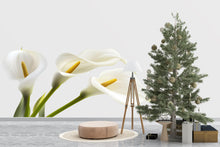 Load image into Gallery viewer, White Calla Lily Wall Decal, Floral Wall Sticker, Botanical Wall Art, Bedroom Decor, Modern Flower Mural, 129gm