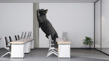 Load image into Gallery viewer, Black Cat Wall Decal, Climbing Cat Wall Sticker, Cute Cat Wall Art, Nursery Decor, Kids Room Decal, Pet Lover Gift, 184gm