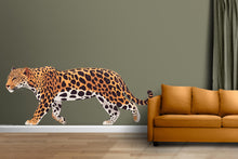 Load image into Gallery viewer, Leopard Wall Decal Large Removable Jungle Cat Sticker Safari Animal Wall Art for Bedroom Nursery Modern Wildlife Decor, 051gm