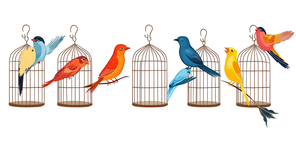 Bird Wall Decal Set, Colorful Bird Stickers, Birdcage Wall Art, Nursery Decor, Kids Room Wall Mural, 127gm