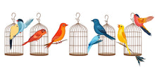 Load image into Gallery viewer, Bird Wall Decal Set, Colorful Bird Stickers, Birdcage Wall Art, Nursery Decor, Kids Room Wall Mural, 127gm