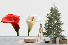 Load image into Gallery viewer, Calla Lily Wall Decal, Red White Flower Sticker, Floral Wall Art, Bedroom Decor, Modern Botanical Mural, 128gm