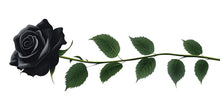 Load image into Gallery viewer, Black Rose Wall Decal, Gothic Flower Sticker, Floral Wall Art, Dark Botanical Decor, Modern Rose Mural, 130gm