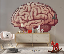 Load image into Gallery viewer, Brain Wall Decal, Anatomy Wall Sticker, Science Wall Art, Medical Wall Decor, Classroom Wall Mural, Neuroscience Room Decor, 161gm