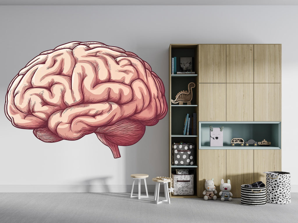 Brain Wall Decal, Anatomy Wall Sticker, Science Wall Art, Medical Wall Decor, Classroom Wall Mural, Neuroscience Room Decor, 161gm