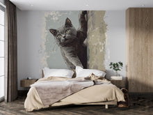 Load image into Gallery viewer, Cat Wall Decal, Peeking Cat Wall Sticker, Cute Animal Wall Art, Kids Room Decor, Nursery Wall Mural, Pet Lover Decor, 183gm