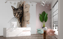 Load image into Gallery viewer, Peeking Cat Wall Decal, Cat Wall Sticker, Cute Kitty Wall Art, Bedroom Decor, Nursery Wall Mural, Pet Lover Gift, 190gm