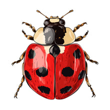 Load image into Gallery viewer, Ladybug Wall Decal, Red Ladybird Sticker, Kids Room Wall Art, Nursery Bug Decor, Insect Wall Mural, Nature Decor, 191gm