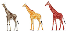 Load image into Gallery viewer, Giraffe Wall Decal Set, Safari Animal Wall Stickers, Kids Room Wall Art, Nursery Animal Decor, Jungle Wall Mural, Giraffe Decor, 195gm