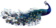 Load image into Gallery viewer, Blue Peacock Wall Decal Modern Bird Wall Art Boho Wall Decor Large Wall Sticker Bedroom Decor Vinyl Wall Decal, 215gm