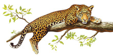 Load image into Gallery viewer, Leopard Wall Decal Jungle Wall Sticker Safari Animal Wall Art Big Cat Nursery Decor Kids Room Wall Decor, 230gm