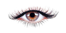 Load image into Gallery viewer, Lash Wall Decal Realistic Eye Wall Sticker Eyelash Beauty Wall Art Lash Studio Decor Esthetician Spa Wall Decor Vinyl Decal