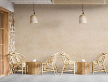 Load image into Gallery viewer, Warm Beige Plaster Wallpaper Neutral Textured Wall Mural Minimalist Japandi Interior Design Modern Boho Wall Decor Peel and Stick 808LU