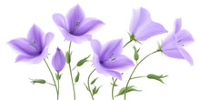 Load image into Gallery viewer, Purple Flower Wall Decal Floral Wall Art Bedroom Decor Large Flower Wall Sticker Botanical Vinyl Wall Decal, 220gm