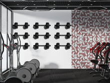 Load image into Gallery viewer, Dumbbell Wall Decal Minimalist Gym Wall Art Fitness Vinyl Sticker Modern Home Gym Decor Weightlifting Wall Art Luxury Gym Design