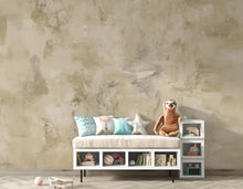 Load image into Gallery viewer, Neutral Beige Abstract Texture Wallpaper | Modern Minimalist Wall Art | Soft Earth Tone Background | Plaster Effect 408DE
