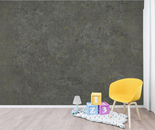 Load image into Gallery viewer, Dark Charcoal Textured Wallpaper | Industrial Concrete Effect Wall Mural | Modern Rustic Peel and Stick Wallpaper Stone Texture Decor 426DE