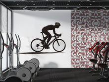 Load image into Gallery viewer, Cyclist Wall Decal Minimalist Bike Wall Art Cycling Vinyl Sticker Gym Wall Decor Spin Studio Decor Athlete Silhouette Home Gym Art