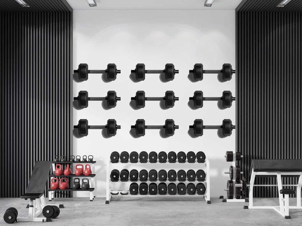 Dumbbell Wall Decal Minimalist Gym Wall Art Fitness Vinyl Sticker Modern Home Gym Decor Weightlifting Wall Art Luxury Gym Design