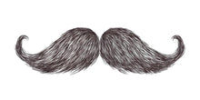 Load image into Gallery viewer, Mustache Wall Mural, Barber Shop Wallpaper, Men’s Grooming Wall Decal, Beard Salon Decor, Masculine Office Wall Art, 593mv