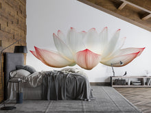 Load image into Gallery viewer, Lotus Wall Mural, Yoga Studio Wallpaper, Zen Spa Decor, Meditation Room Wall Art, Pink Floral Wellness Mural, 659mv