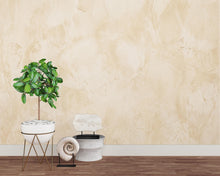 Load image into Gallery viewer, Beige Plaster Texture Wallpaper | Neutral Limewash Wall Mural | Rustic Stucco Peel and Stick Wallpaper for Living Room 1163RS