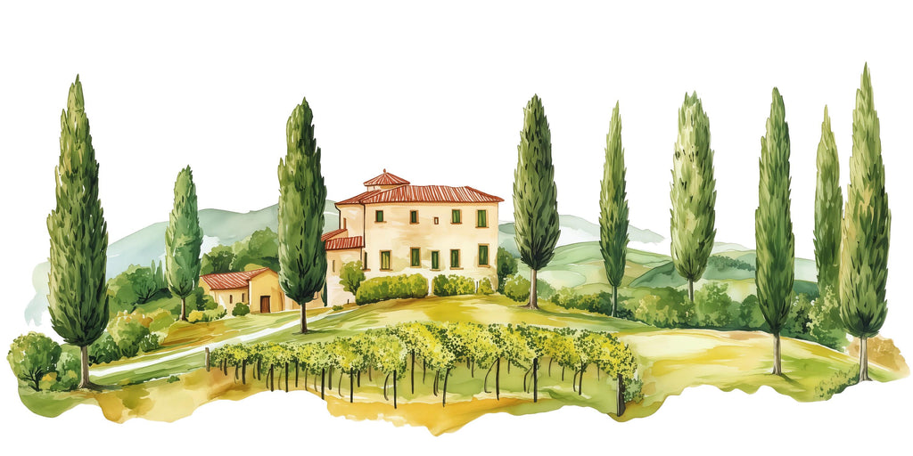 Tuscany Wall Decal, Airbnb Dining Room Decor, Boutique Hotel Wall Art, Italian Villa Vineyard Decor, Mediterranean Wall Decal, Tuscan Decor
