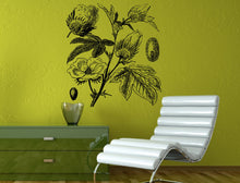 Load image into Gallery viewer, Pima South American Creole Sea Island Egyptian Gossypium Barbadense Cotton Vintage Engraving Wall Decal Vinyl Sticker Mural Room Decor L1347